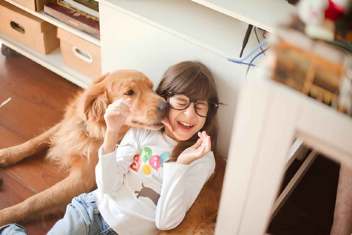 Cachorro-brincando-com-criança